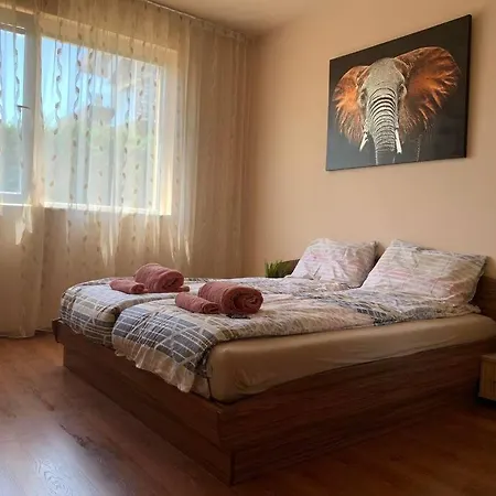 Petya's Cozy Relaxing Aparment. Apartment *